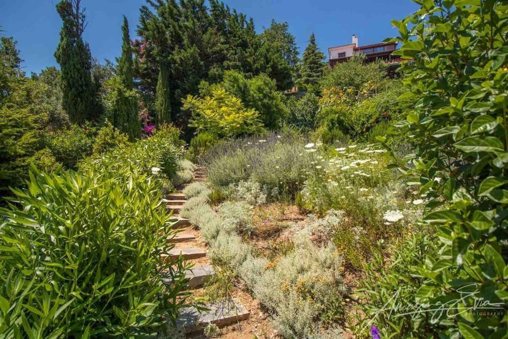 Villa Kasteli - Secret Beauty In The Mountains Caristo Exterior foto